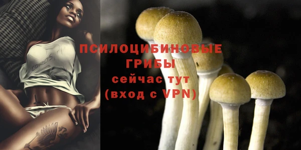 ешки Белоозёрский